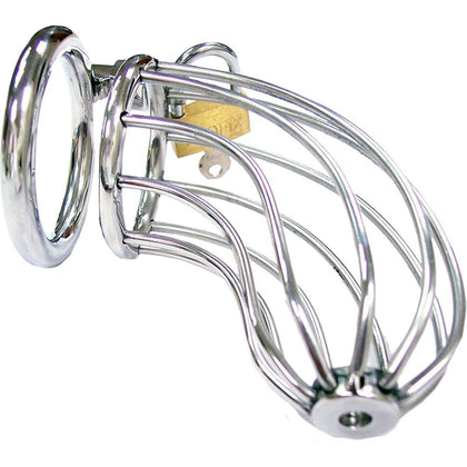 Stainless Steel Chastity Cock Cage with Padlock - Model CC-45 - Male - Full Enclosure - Silver - Adult Naughty Store