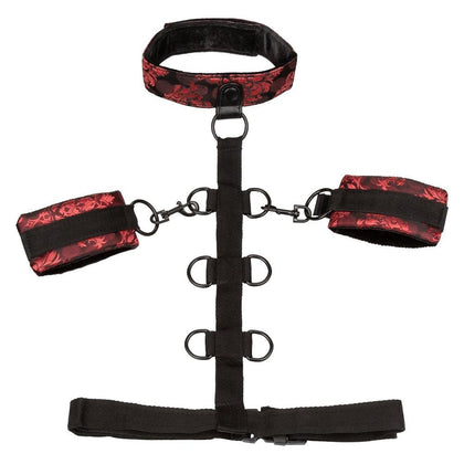 Scandal Collar Body Restraint Red - A Sensual Bondage System for Alluring Pleasure and Intense Intimacy