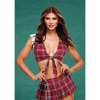 Seductive Pleasure: Teachers Pet Schoolgirl Crop Top & Skirt - S/M, Red Tartan - Adult Naughty Store